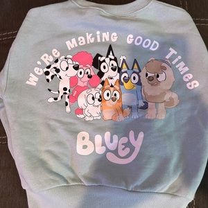 Kids bluey sweater